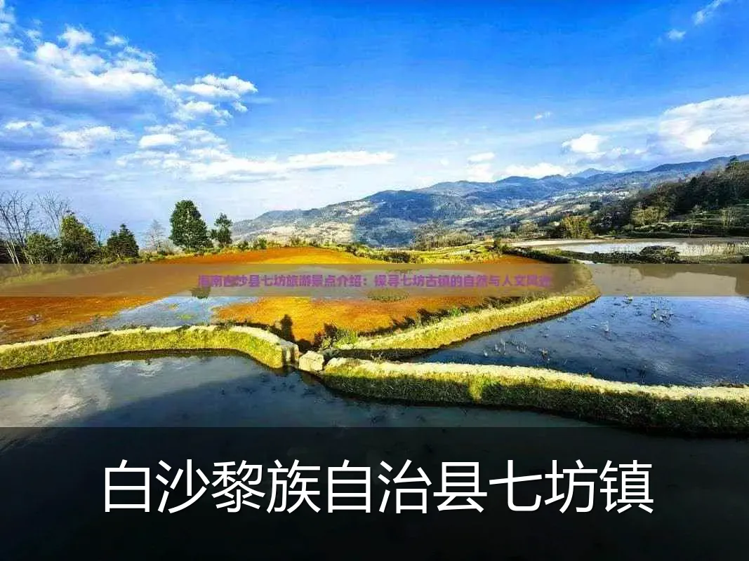 白沙黎族自治县七坊镇