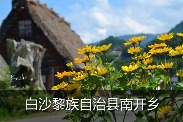 白沙黎族自治县南开乡