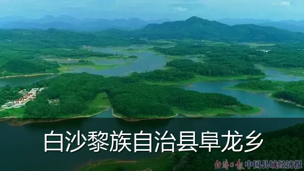 白沙黎族自治县阜龙乡