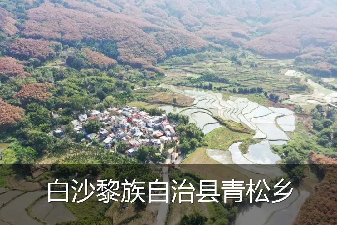 白沙黎族自治县青松乡